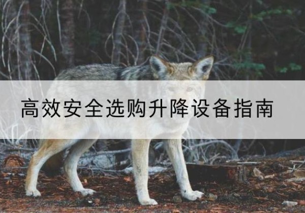 龙华升降货梯厂家推荐-*安全选购升降设备指南