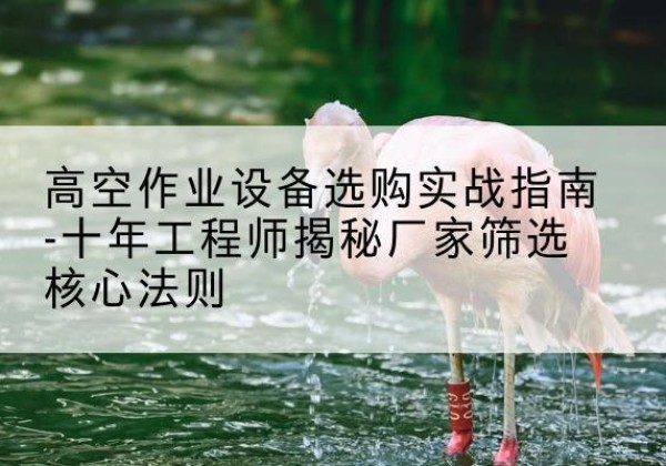 龙华剪叉式升降机厂家-高空作业设备选购实战指南-十年工程师揭秘厂家筛选核心法则